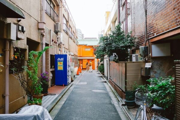 お正月完全ガイド：新年を彩る日本の伝統行事と過ごし方