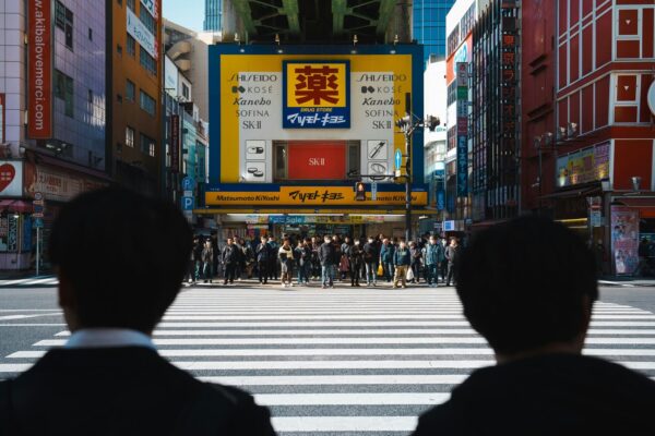 畳のある暮らし：現代に息づく和室の魅力と活用術